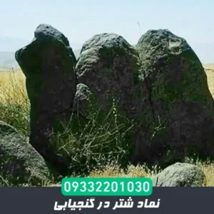 نماد شتر در گنجیابی