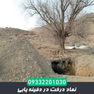 نماد درخت در دفینه یابی