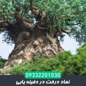 نماد درخت در دفینه یابی