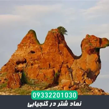 نماد شتر در گنجیابی