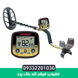 فلزیاب فیشر گلد باگ پرو