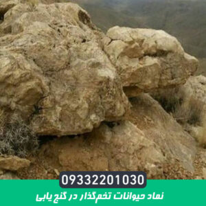 نماد حیوانات تخم‌گذار در گنج‌ یابی