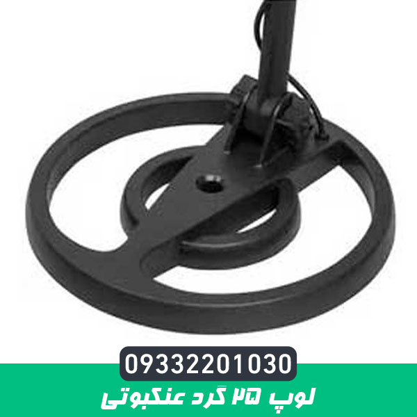 لوپ 25 گرد عنکبوتی